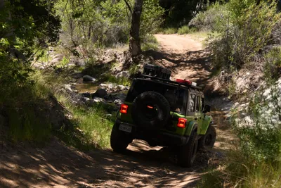 DSC_5905 (Large).JPG